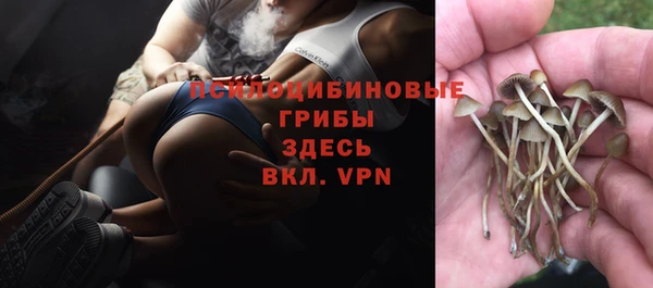 крисы Остров