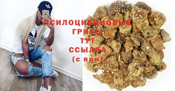 ГАЛЛЮЦИНОГЕННЫЕ ГРИБЫ Осташков