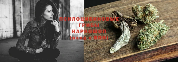 мескалин Осинники