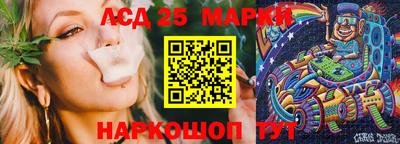 стафф Бийск