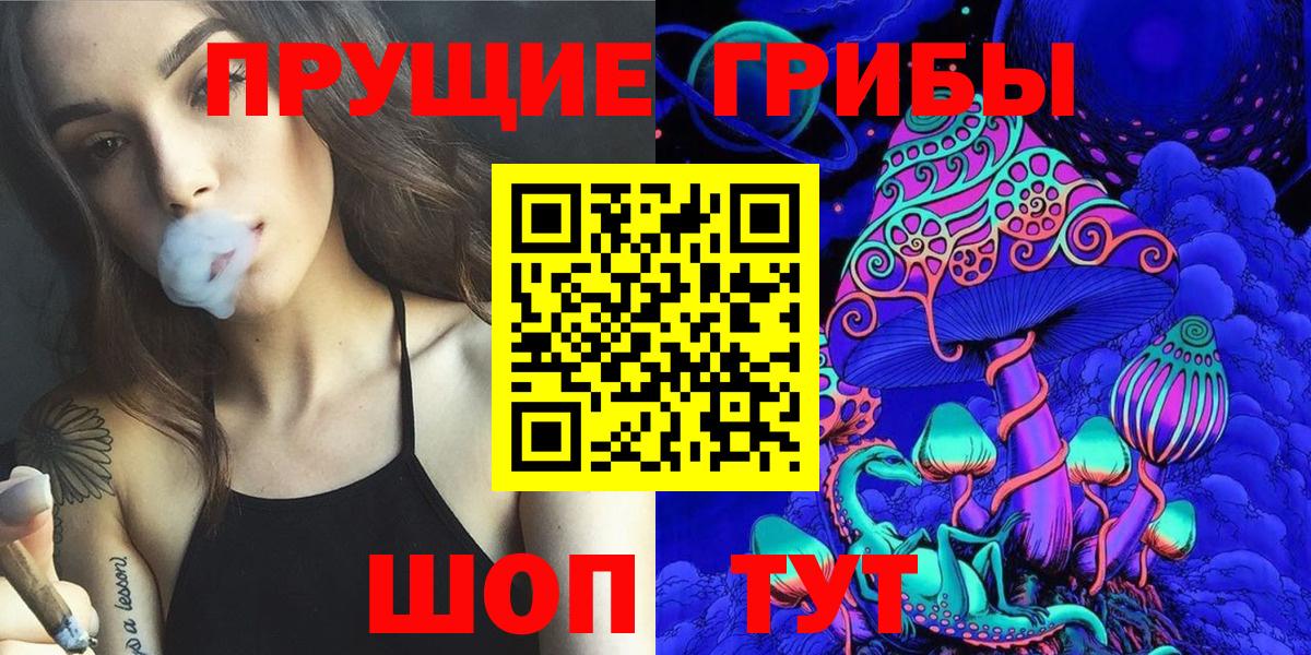 Галлюциногенные грибы Cubensis Прохладный