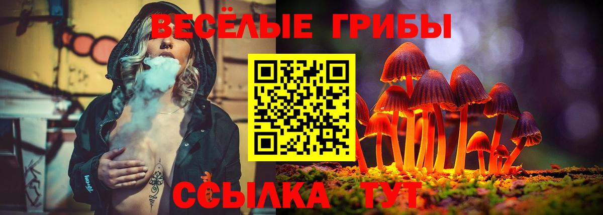 Псилоцибиновые грибы Psilocybine cubensis  Вход с VPN  Прохладный 