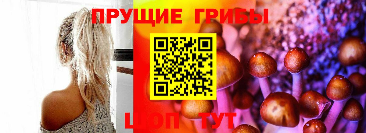 Прохладный  Канабис  MDMA  Меф   КОКАИН  Купить закладку  МЕФ кристаллы  ГАШ 