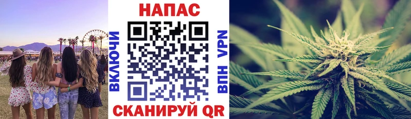 Бошки Шишки Ganja  купить наркотики сайты  Прохладный 